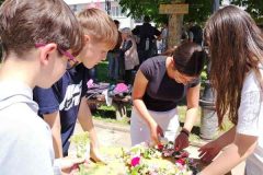 IMG_20260505_113008