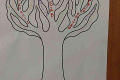 IMG_20260506_094629