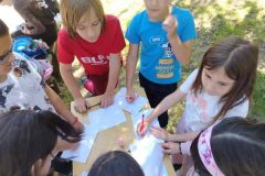 IMG_20260506_113810