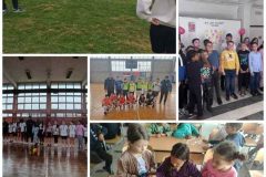 Collage_20261019_100332