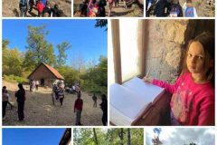 Collage_20261019_100555